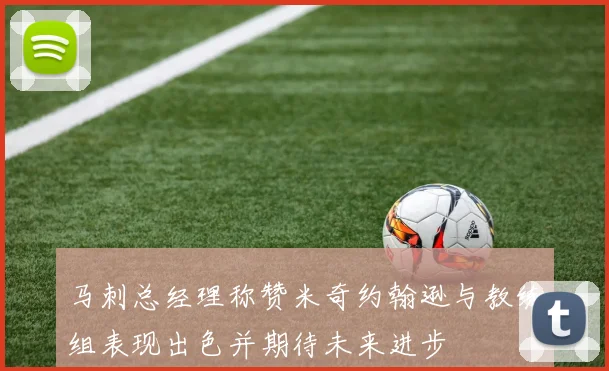 马刺总经理称赞米奇约翰逊与教练组表现出色并期待未来进步