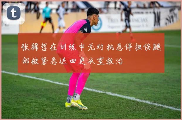 张稀哲在训练中无对抗急停扭伤腿部被紧急送回更衣室救治